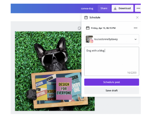 Dog on grass with chalk board