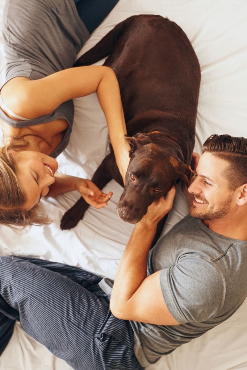 How To Quit Your Job, And Make Money